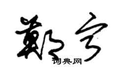 朱锡荣郑宁草书个性签名怎么写