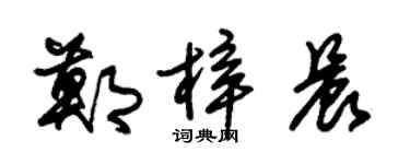 朱锡荣郑梓晨草书个性签名怎么写