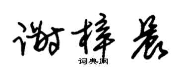 朱锡荣谢梓晨草书个性签名怎么写