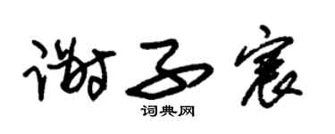 朱锡荣谢子宸草书个性签名怎么写