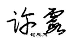 朱锡荣许霞草书个性签名怎么写