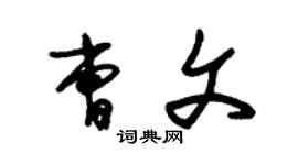 朱锡荣曹文草书个性签名怎么写