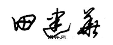朱锡荣田建华草书个性签名怎么写