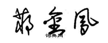 朱锡荣蒋金凤草书个性签名怎么写