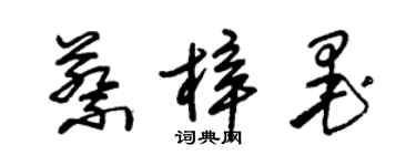 朱锡荣蔡梓墨草书个性签名怎么写