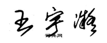 朱锡荣王宇凝草书个性签名怎么写