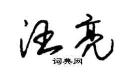 朱锡荣汪亮草书个性签名怎么写