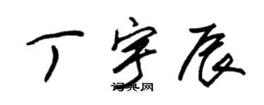 朱锡荣丁宇辰草书个性签名怎么写