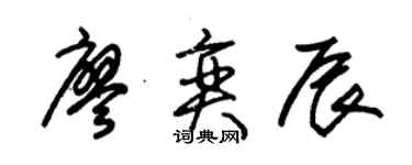 朱锡荣廖奕辰草书个性签名怎么写