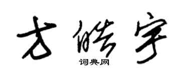 朱锡荣方皓宇草书个性签名怎么写