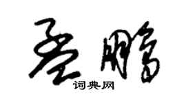 朱锡荣孟鹏草书个性签名怎么写