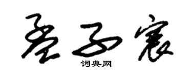 朱锡荣孟子宸草书个性签名怎么写