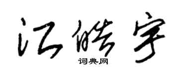 朱锡荣江皓宇草书个性签名怎么写