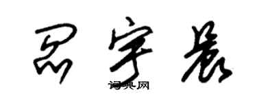 朱锡荣阎宇晨草书个性签名怎么写