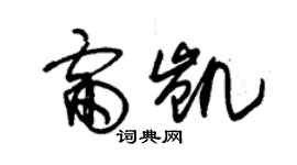 朱锡荣雷凯草书个性签名怎么写