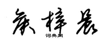 朱锡荣侯梓晨草书个性签名怎么写