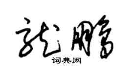 朱锡荣龙鹏草书个性签名怎么写