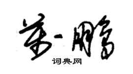 朱锡荣万鹏草书个性签名怎么写
