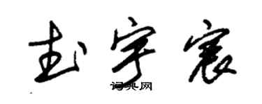 朱锡荣武宇宸草书个性签名怎么写