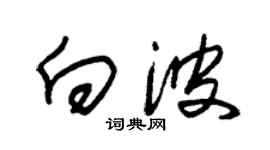 朱锡荣向波草书个性签名怎么写