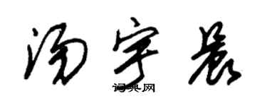 朱锡荣汤宇晨草书个性签名怎么写