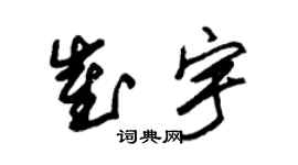 朱锡荣崔宇草书个性签名怎么写