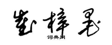 朱锡荣崔梓墨草书个性签名怎么写
