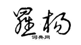 曾庆福罗杨草书个性签名怎么写