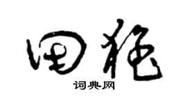 曾庆福田猛草书个性签名怎么写