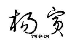曾庆福杨宾草书个性签名怎么写