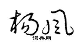 曾庆福杨风草书个性签名怎么写