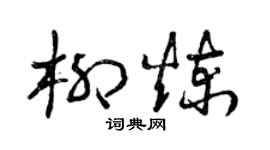 曾庆福柳炼草书个性签名怎么写