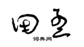 曾庆福田孟草书个性签名怎么写