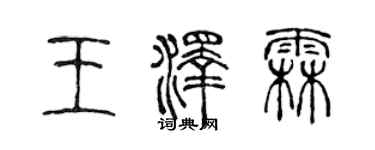 陈声远王泽霖篆书个性签名怎么写
