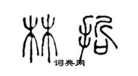 陈声远林哲篆书个性签名怎么写