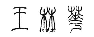 陈墨王林华篆书个性签名怎么写