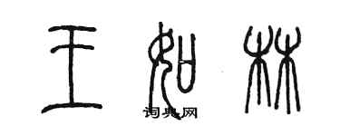 陈墨王如林篆书个性签名怎么写