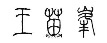 陈墨王苗峰篆书个性签名怎么写
