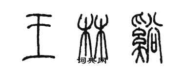 陈墨王林溪篆书个性签名怎么写