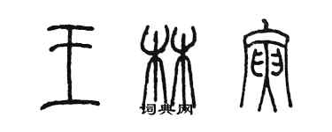 陈墨王林寅篆书个性签名怎么写