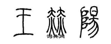 陈墨王赫阳篆书个性签名怎么写