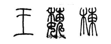 陈墨王巍栋篆书个性签名怎么写