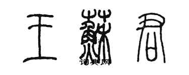 陈墨王苏君篆书个性签名怎么写