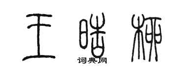 陈墨王皓柳篆书个性签名怎么写
