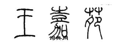 陈墨王嘉苑篆书个性签名怎么写