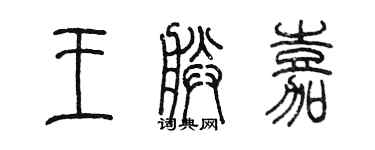 陈墨王朕嘉篆书个性签名怎么写