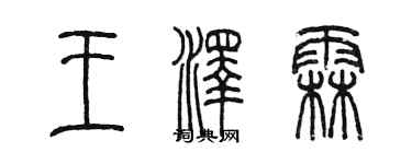 陈墨王泽霖篆书个性签名怎么写