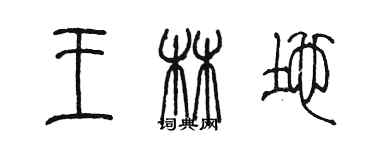 陈墨王林地篆书个性签名怎么写