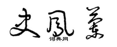 曾庆福史凤兰草书个性签名怎么写