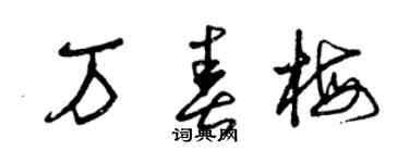 曾庆福万春梅草书个性签名怎么写